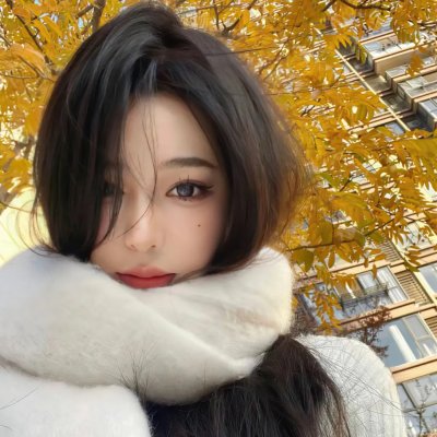恋恋飞翔
